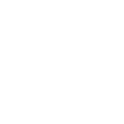 Praxis-Wht-Stacked-Sub